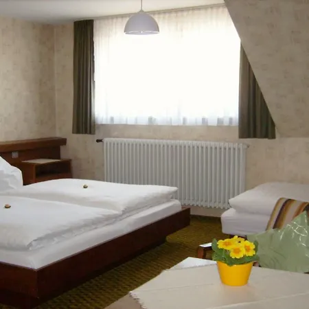 Finken Pensjonat 3*