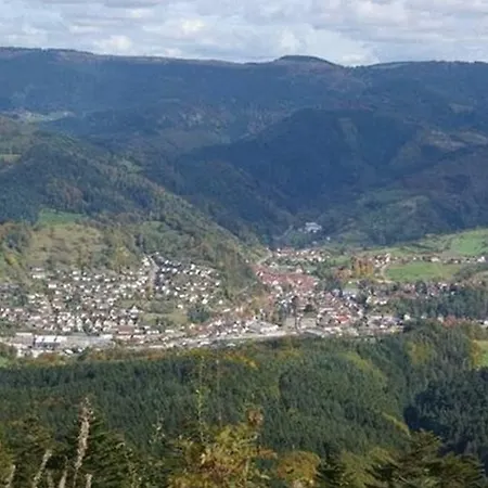 בית הארחה Finken אופנאו