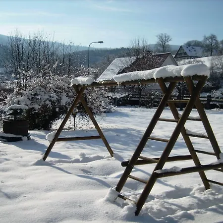 Finken בית הארחה 3*