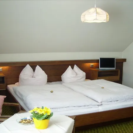 בית הארחה Finken 3*