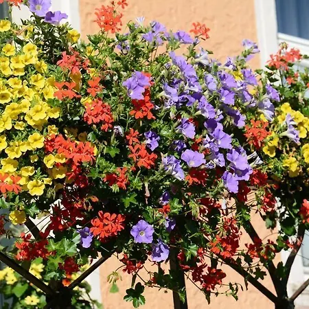 Finken 3* אופנאו