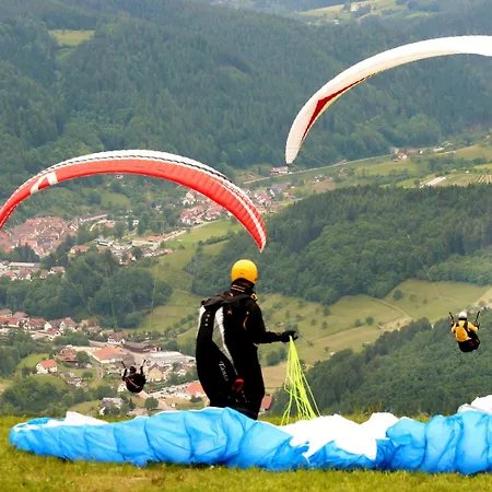 Finken בית הארחה