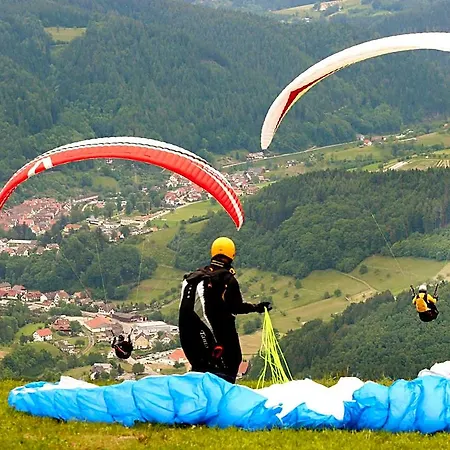 Pensión Finken 3*