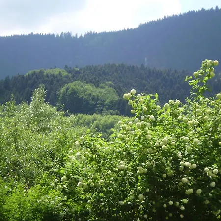 Finken בית הארחה אופנאו